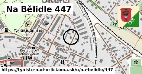 Na Bělidle 447, Týniště nad Orlicí