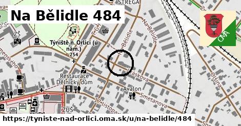 Na Bělidle 484, Týniště nad Orlicí