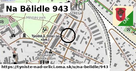 Na Bělidle 943, Týniště nad Orlicí