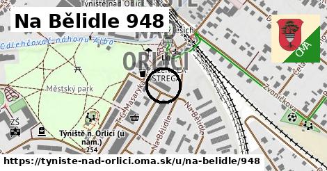 Na Bělidle 948, Týniště nad Orlicí