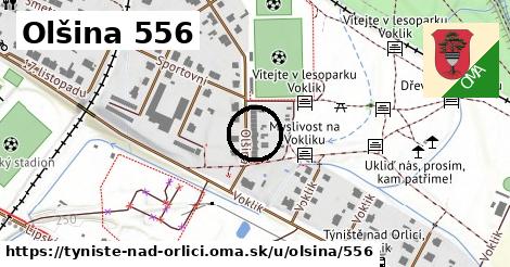 Olšina 556, Týniště nad Orlicí