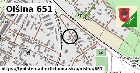 Olšina 651, Týniště nad Orlicí