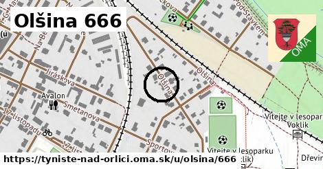 Olšina 666, Týniště nad Orlicí