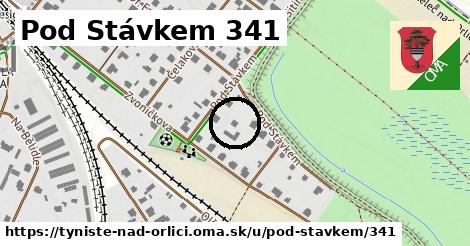 Pod Stávkem 341, Týniště nad Orlicí