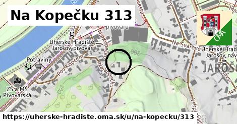 Na Kopečku 313, Uherské Hradiště