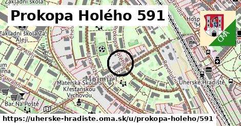 Prokopa Holého 591, Uherské Hradiště