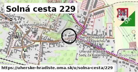 Solná cesta 229, Uherské Hradiště