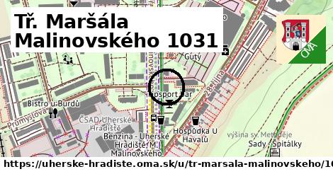 Tř. Maršála Malinovského 1031, Uherské Hradiště