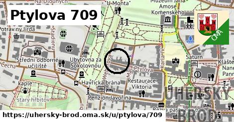 Ptylova 709, Uherský Brod