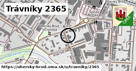 Trávníky 2365, Uherský Brod