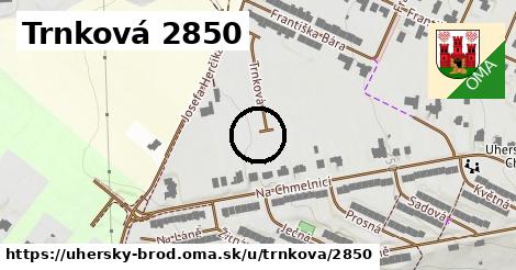 Trnková 2850, Uherský Brod