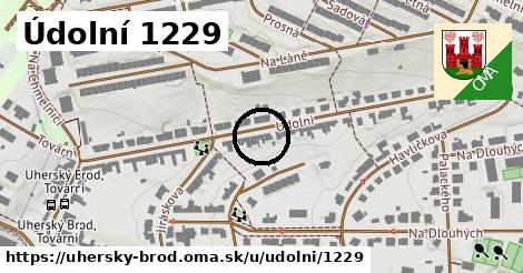 Údolní 1229, Uherský Brod