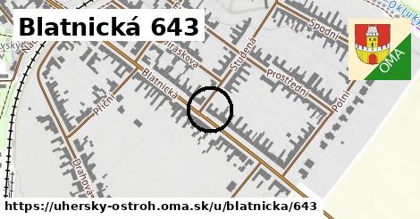 Blatnická 643, Uherský Ostroh