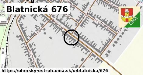 Blatnická 676, Uherský Ostroh