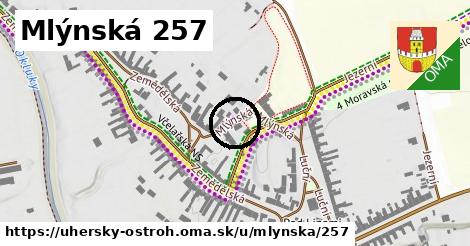 Mlýnská 257, Uherský Ostroh
