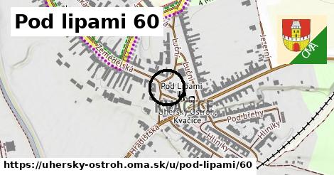 Pod lipami 60, Uherský Ostroh