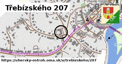 Třebízského 207, Uherský Ostroh