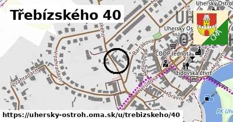 Třebízského 40, Uherský Ostroh