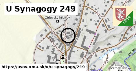 U Synagogy 249, Úsov