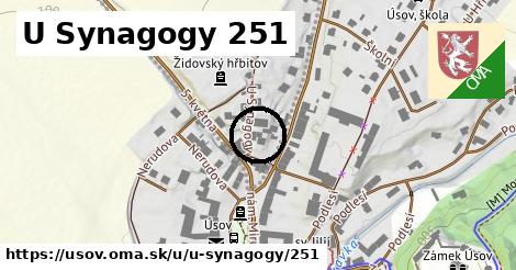 U Synagogy 251, Úsov