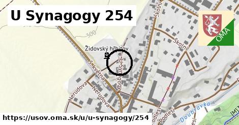 U Synagogy 254, Úsov