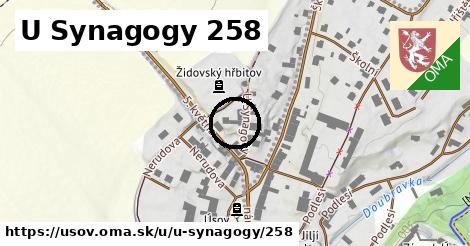 U Synagogy 258, Úsov