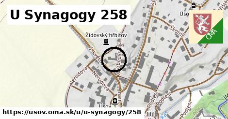 U Synagogy 258, Úsov