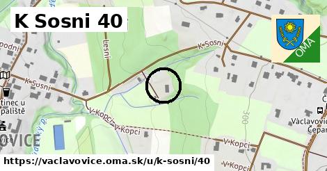 K Sosni 40, Václavovice