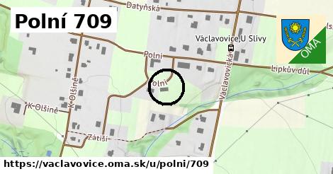 Polní 709, Václavovice