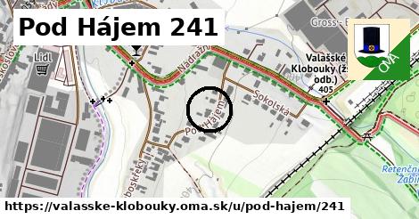 Pod Hájem 241, Valašské Klobouky