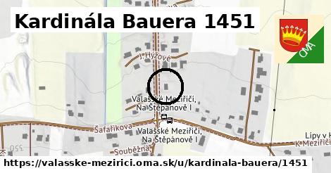 Kardinála Bauera 1451, Valašské Meziříčí