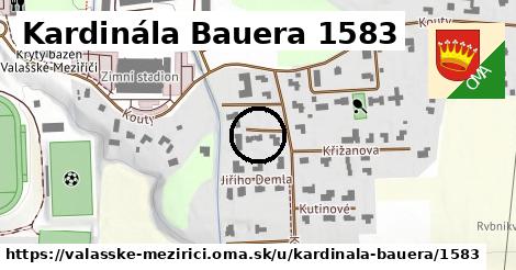 Kardinála Bauera 1583, Valašské Meziříčí