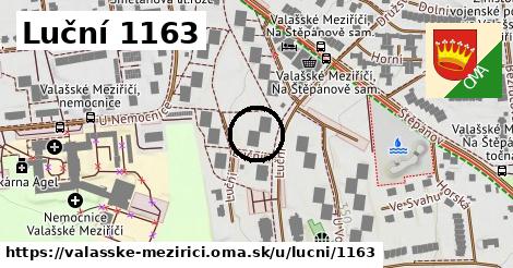 Luční 1163, Valašské Meziříčí