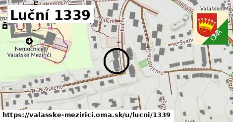 Luční 1339, Valašské Meziříčí