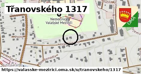 Třanovského 1317, Valašské Meziříčí