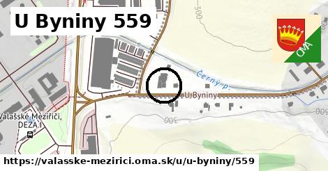 U Byniny 559, Valašské Meziříčí