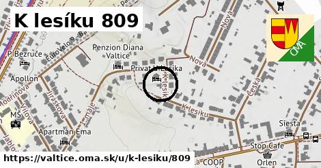 K lesíku 809, Valtice