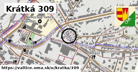 Krátká 309, Valtice