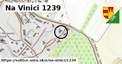 Na Vinici 1239, Valtice