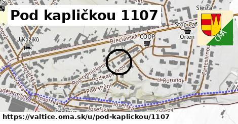 Pod kapličkou 1107, Valtice