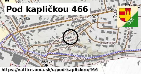 Pod kapličkou 466, Valtice