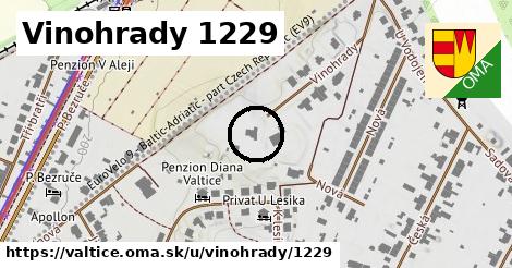 Vinohrady 1229, Valtice