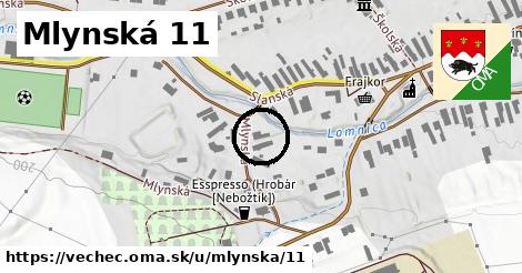 Mlynská 11, Vechec