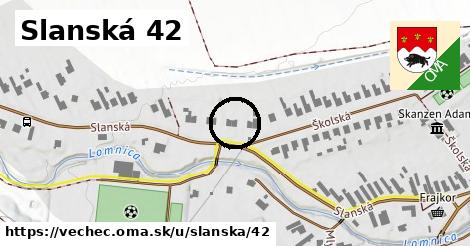 Slanská 42, Vechec