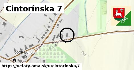 Cintorínska 7, Veľaty