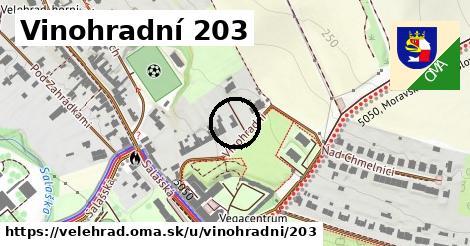 Vinohradní 203, Velehrad