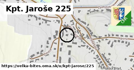 Kpt. Jaroše 225, Velká Bíteš