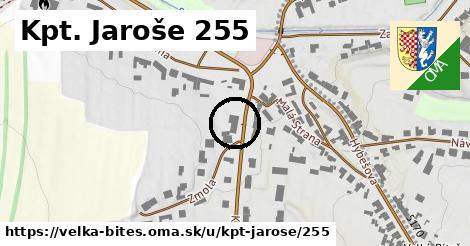 Kpt. Jaroše 255, Velká Bíteš