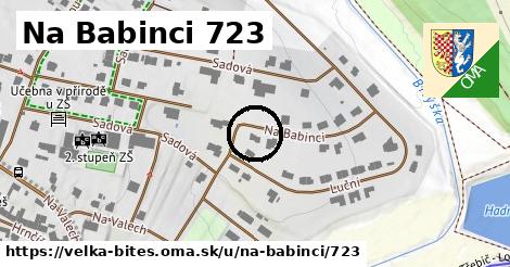 Na Babinci 723, Velká Bíteš