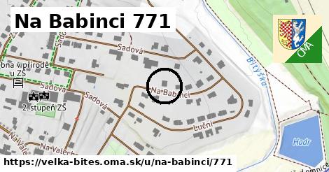 Na Babinci 771, Velká Bíteš